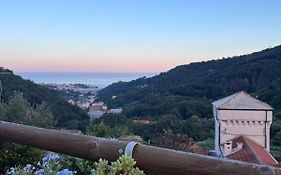 Il Rosale A Celle Ligure
